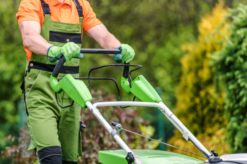 Grass Field Mowing