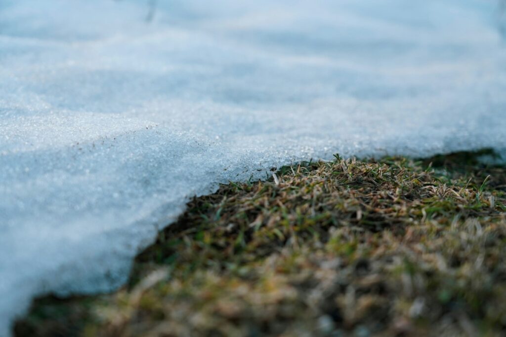 snow on lawn grass