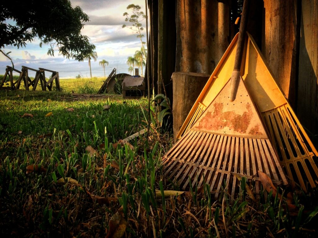 rake on a lawn