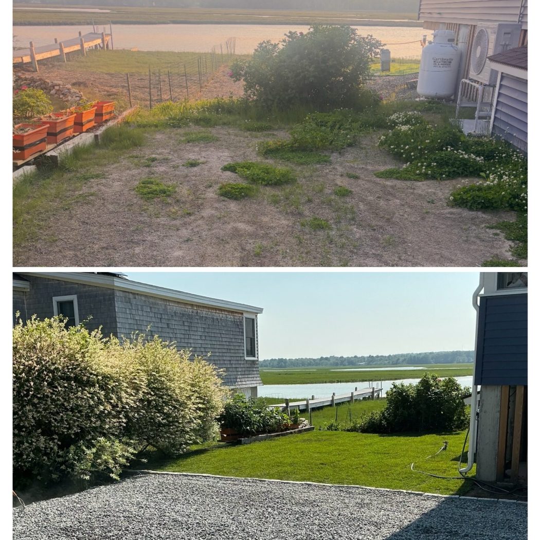 collage_export_DCFF5E7A-BBB8-4BBF-92D4-0D21689A9C36